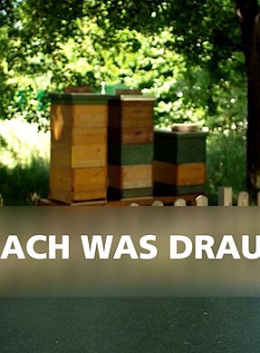 Coverbild zum Lernvideo „Recycling Dialog: Mach was draus”.